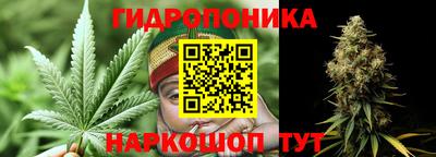 ПСИЛОЦИБИНОВЫЕ ГРИБЫ Свободный