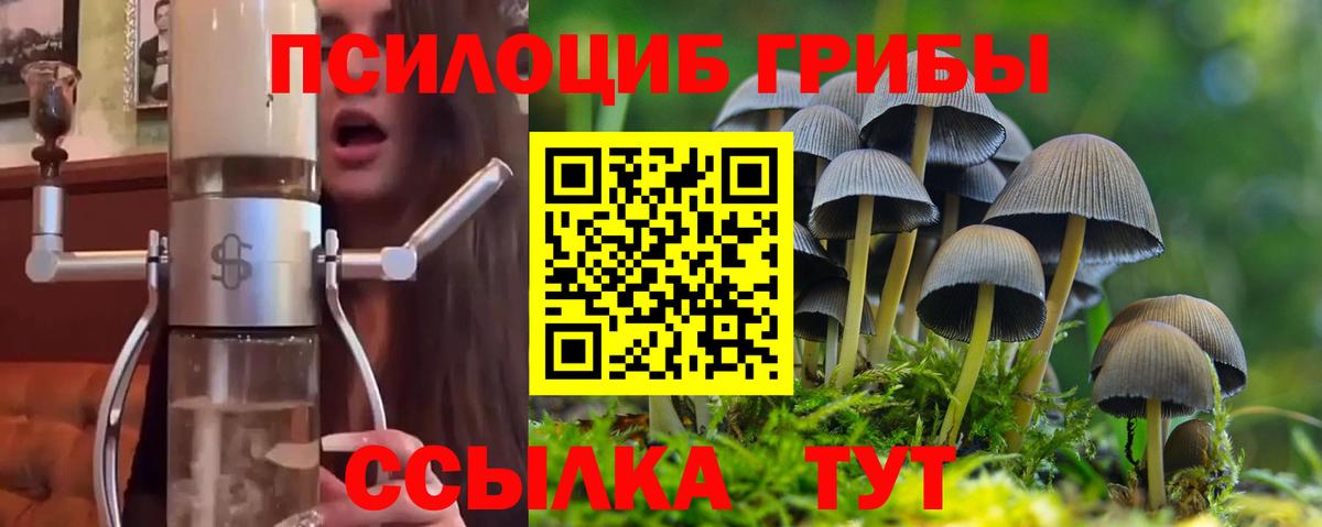 Псилоцибиновые грибы Psilocybe Нягань